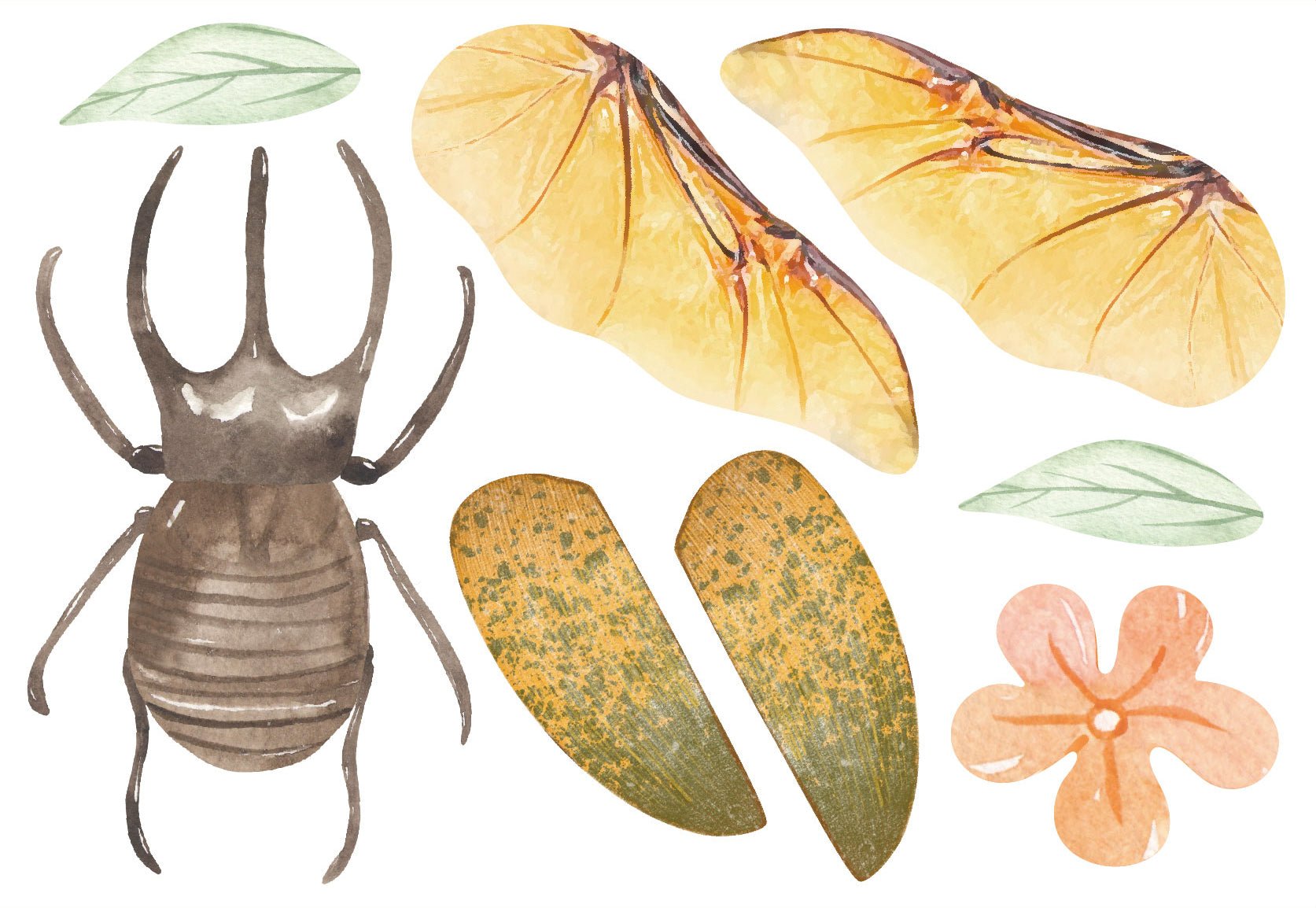 Avenir - Natural Creation Create My Wooden Charm Beetle - Image 3