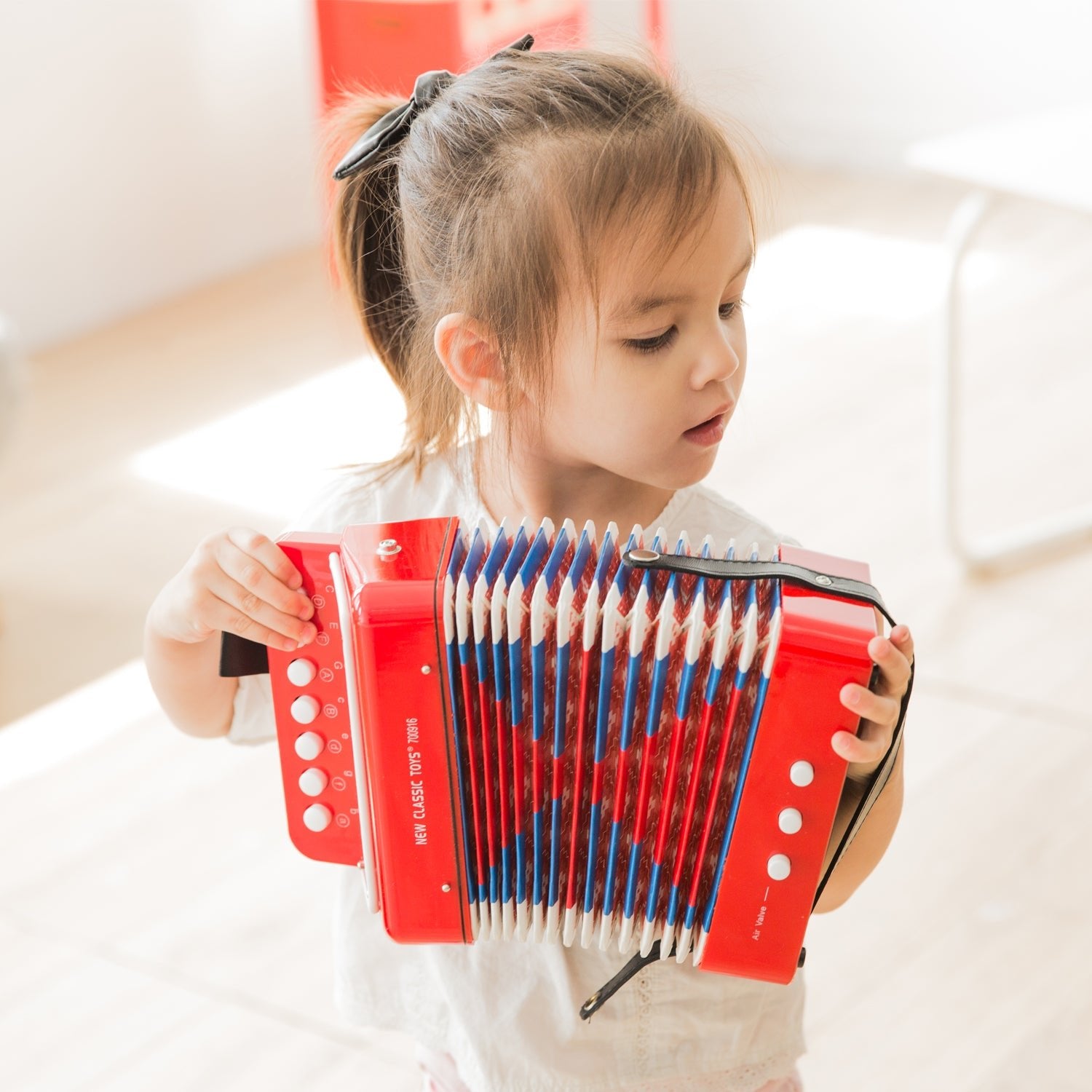 Classic Accordion - Image 2