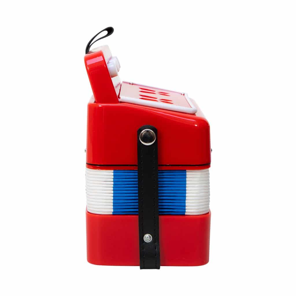 Classic Accordion - Image 6