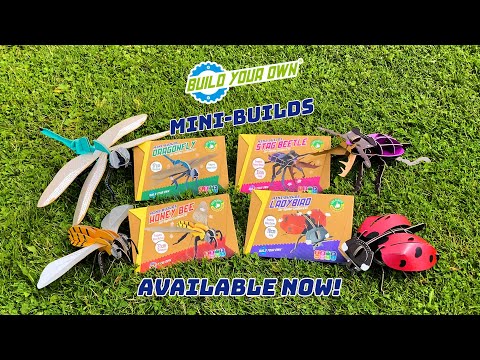 STEM Build - Honey Bee with Moving Mechanisms - Image 2