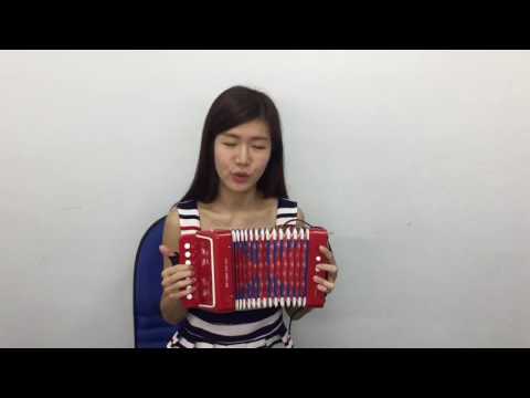 Classic Accordion - Image 3