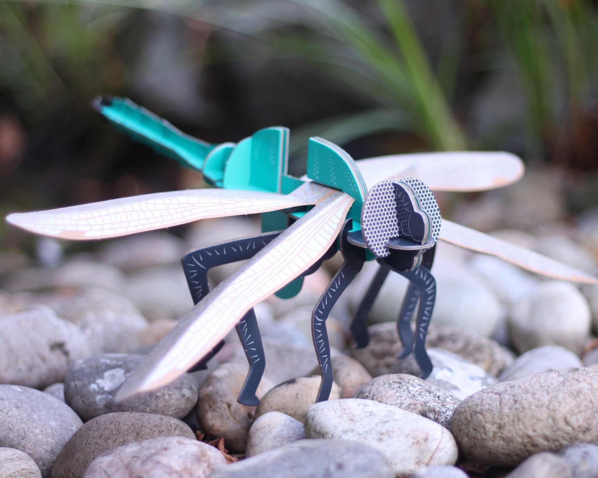 STEM Build - Dragonfly with Moving Mechanisms - Image 9