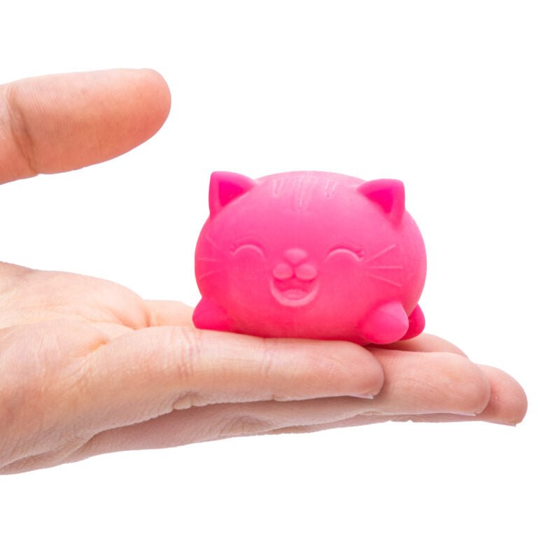 Teenie NeeDoh Cool Cats - Image 5